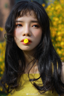 霜花店